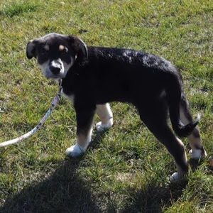 Meet your Posher, Margaret